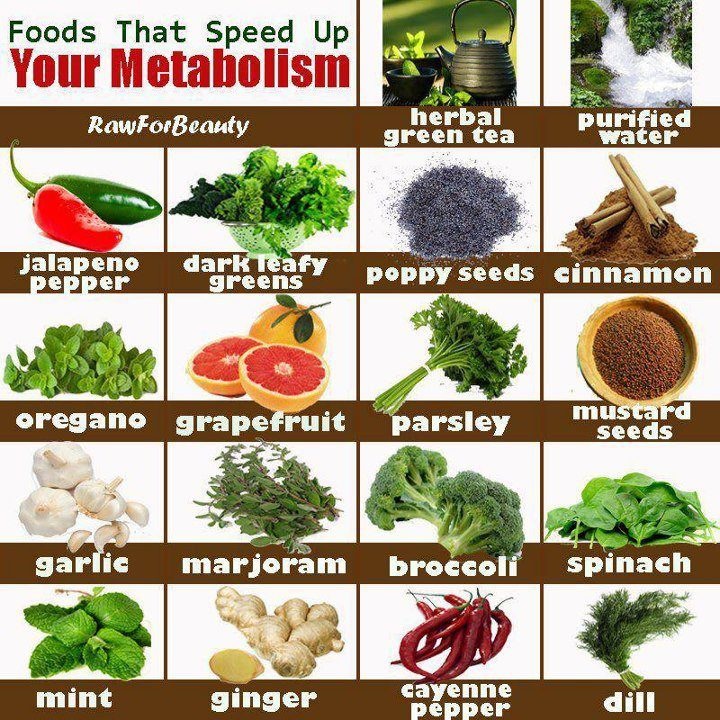 Makanan Terbaik untuk Meningkatkan Metabolisme & Membakar Lemak
