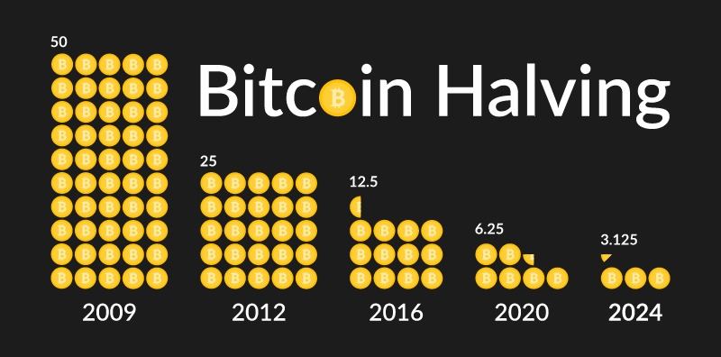 Bitcoin Halving Cycles