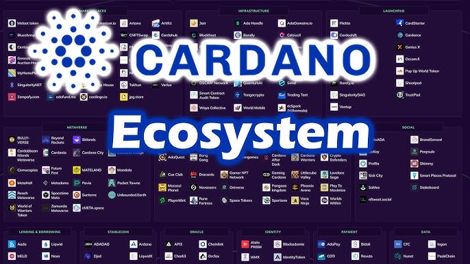 Cardano Ecosystem