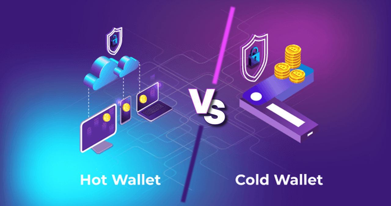 Cold Wallets vs. Hot Wallets