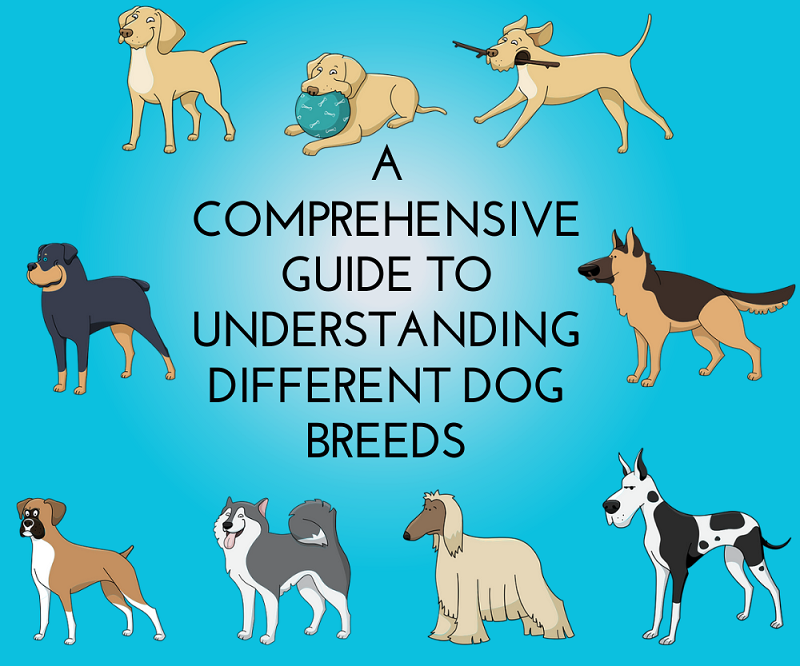 Dog Breeds