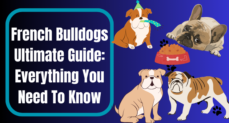 🐶 French Bulldog Dog Breed: Complete Guide, Training Tips, How-to Care, Pros & Cons