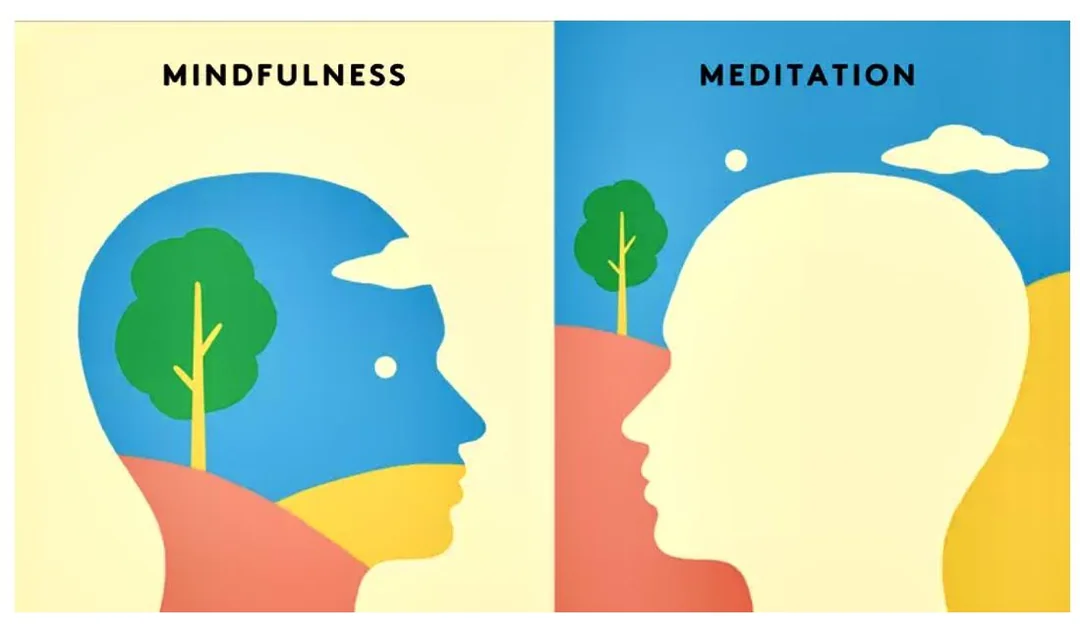 Meditation & Mindfulness