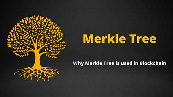 Merkle trees in blockchain