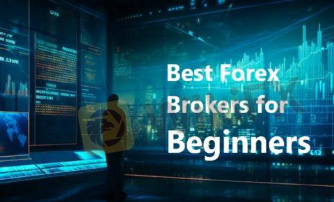 Brokers Forex Terbaik untuk Pemula: Panduan Lengkap